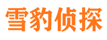 勐海侦探公司